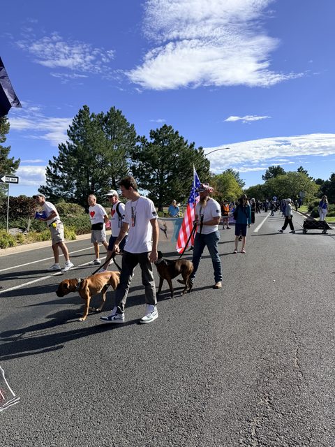 Marchers walking their dogs along the route